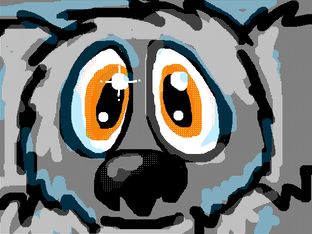 Timid Aussie Koala