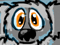 Timid Aussie Koala