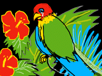 Parrot on a Chain