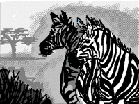 Disappearing Scene