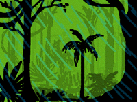 Tropical Rainforest