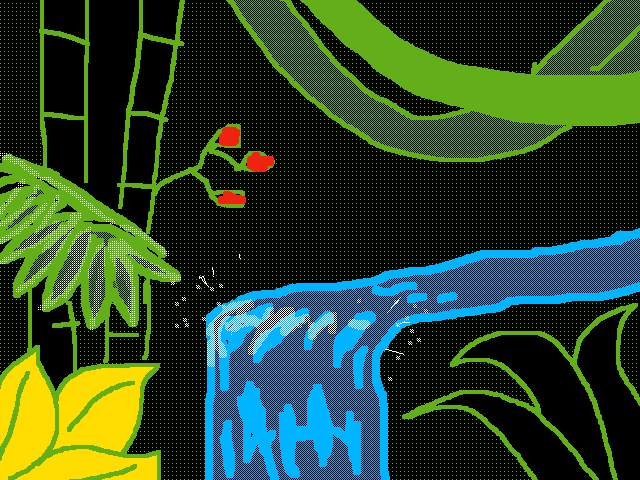 The Tropics