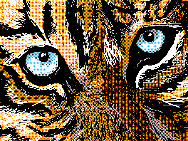 Eye of the Tiger