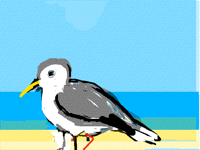 Seagull WIP