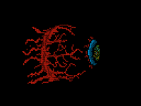 Boss creature contest