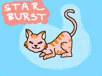 My New Oc: StarBurst