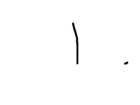 My cat drew it(ON Sale(1000000$))