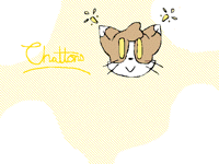 Chattons (kitty)