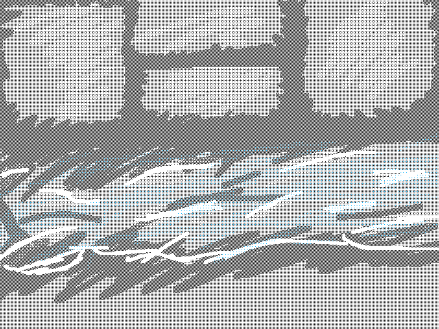 Stream