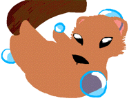 Wip Otter Pop Meme (Original)