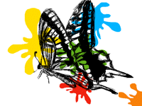 Butterfly！！！