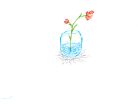 无标题