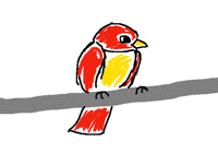Miserable bird 悲惨的鸟