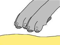 Running ((animation ((smooth