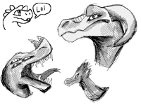 Ooo dragons