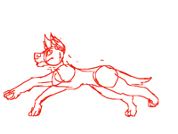 YCH run cycle?