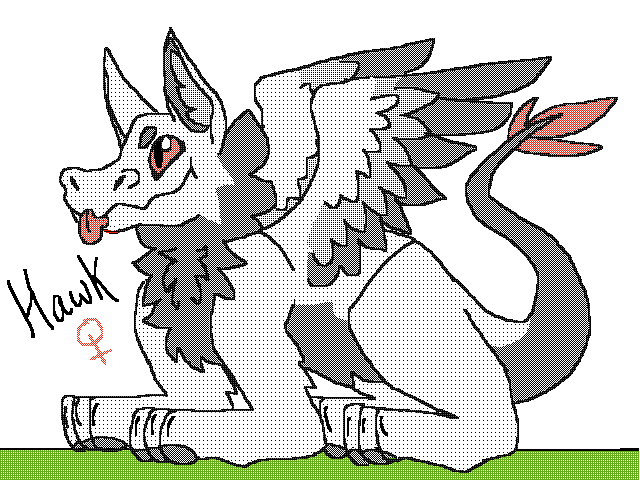 Hawk :3
