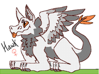 Hawk :3