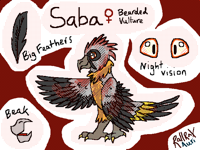 My first bird oc :0