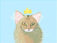 Steve KING,LORD and MASTER