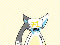 71 followers