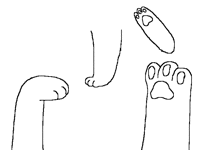 New style? (Paws)