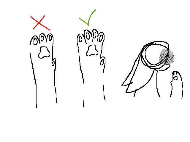i have been drawing cats wrong ...