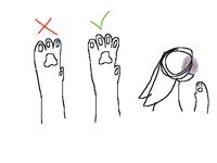 i have been drawing cats wrong ...