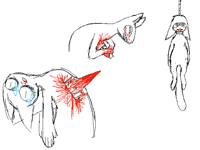 Practicing: gore and blood