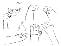 Practicing: hands and paws