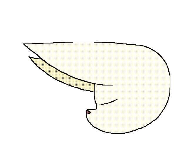 Good animation?