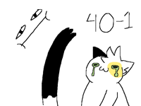 40-1 follower