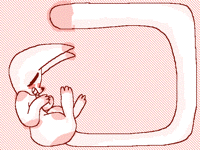 Pastel is in a box