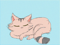Steve sleeps