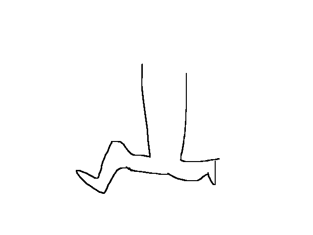 run cycle