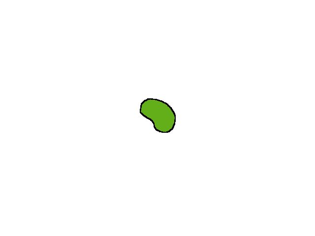 cool bean tutorial