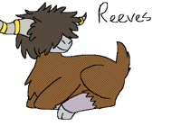 pokemon oc