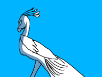super quick peacock