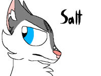 Attack @autumn_the_fox