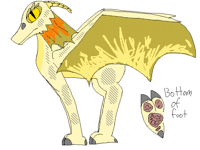@Ampersands Dragon Species Entry