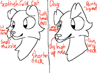 Scottish folds/dogs