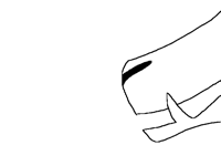Short Eerikki Animation