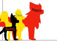 Barb gang size comparison