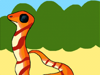 50 Snakes #1 - Coral Cobra