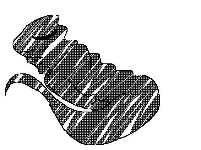 Elements #4 - Beryllium