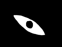 Random Animation