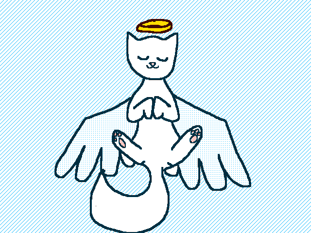 Angel Cat