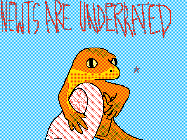 Newts are underrated