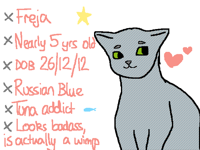 My Cat