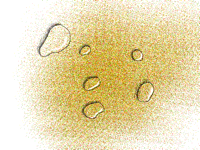 Water droplets